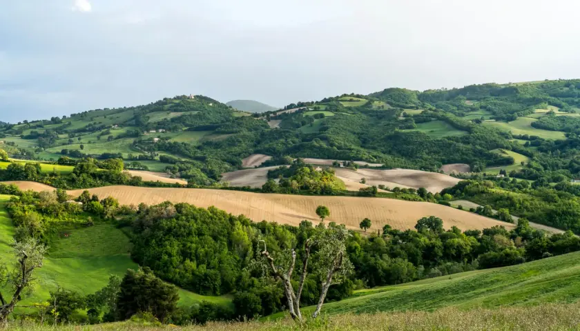 Sanfte Hügel, Felder und Wälder prägen die Landschaft der Marken, Italien. Ein malerischer Ausblick auf das ländliche Italien.