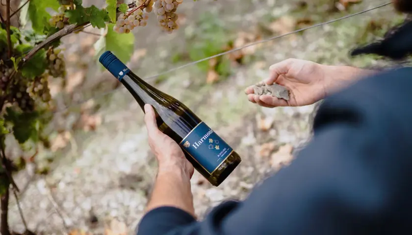 Mann hält Flasche bester Riesling Mosel neben Weinreben. Seine andere Hand zeigt Schiefergestein.