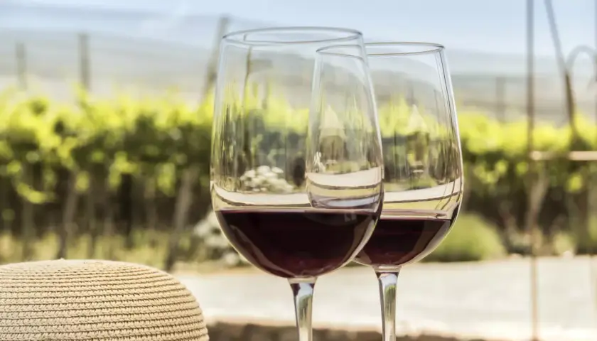 Zwei Gläser Rotwein, was ist Pinot Noir? Ein Genuss vor einer Weinrebenlandschaft.