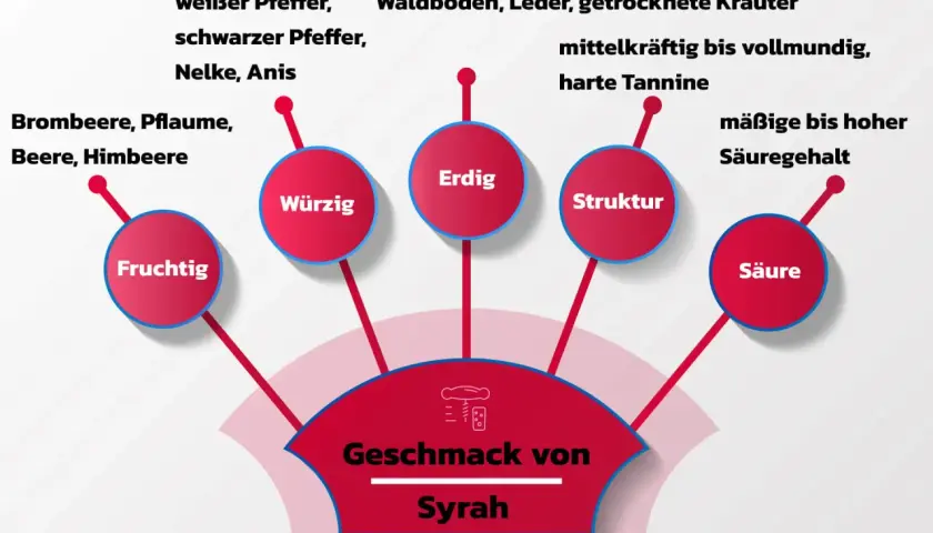 Geschmacksprofil der Syrah-Traube: Fruchtig, würzig, erdig, mit Struktur und Säure. Aromen von Beeren, Pfeffer, Leder.