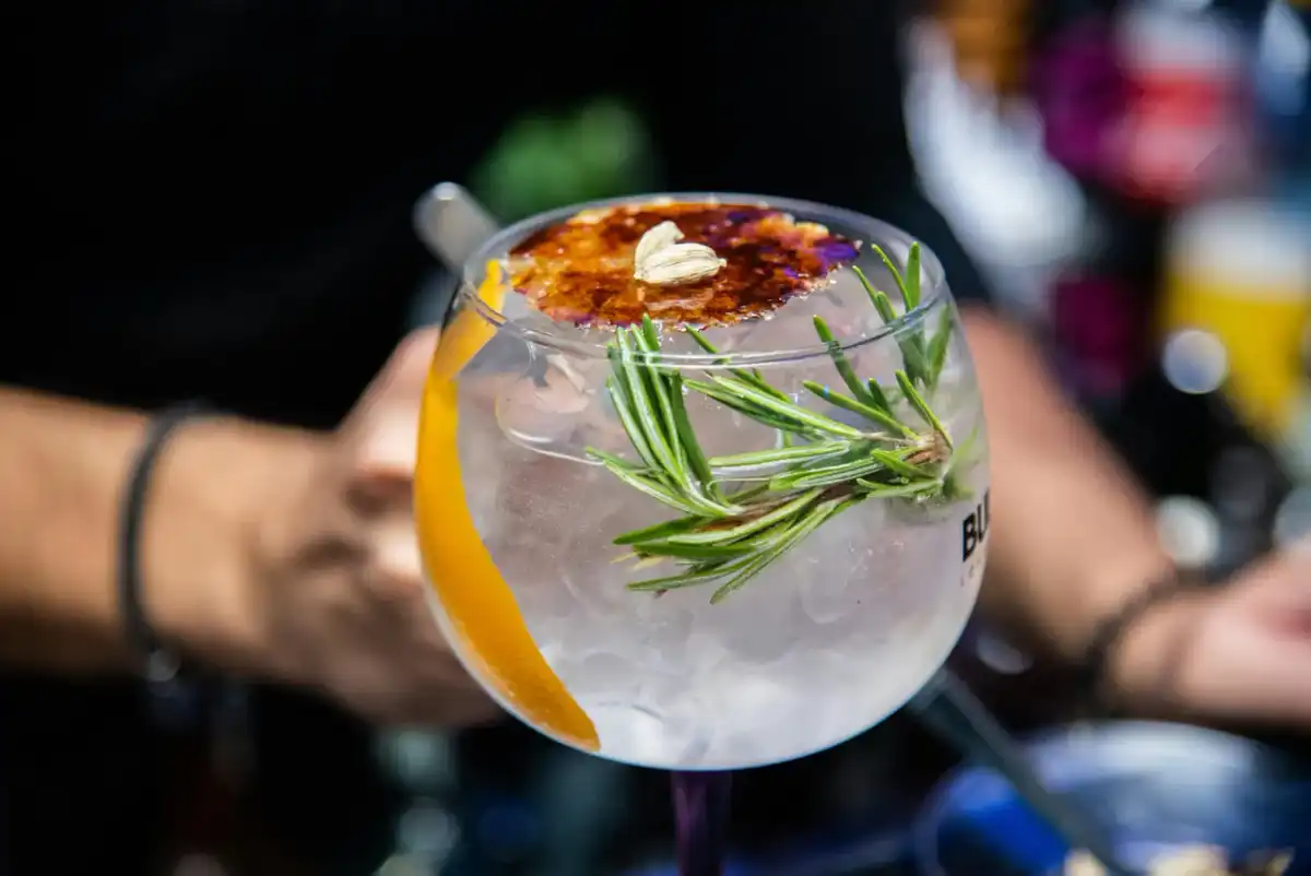 Die besten Gin-Cocktails - Rezepte & Tipps für zu Hause