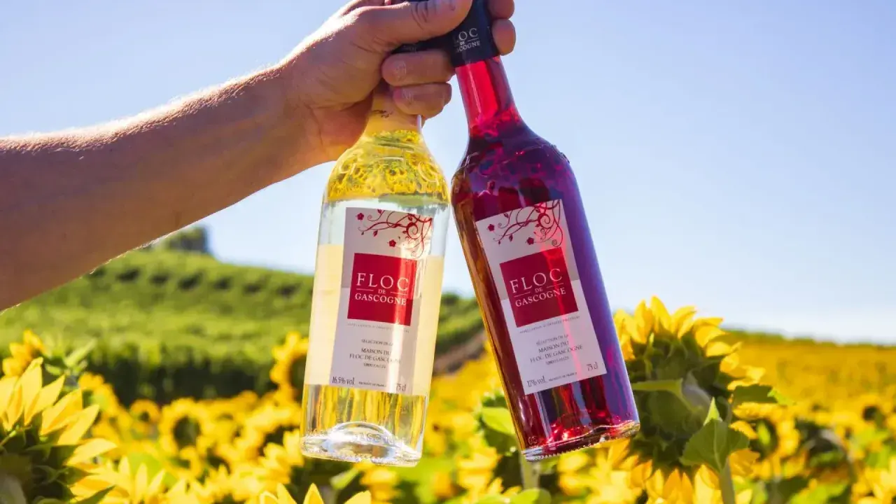 Zwei Flaschen Floc de Gascogne, ein Wein aus Gascogne, Frankreich, stehen vor einem Feld voller Sonnenblumen.