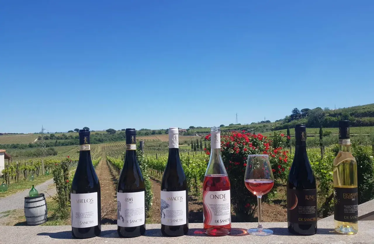 Sechs Flaschen Wein und ein Glas Rosé stehen vor einer Weinrebenlandschaft. Hier wird Wein nahe der Stadt Rom angebaut.