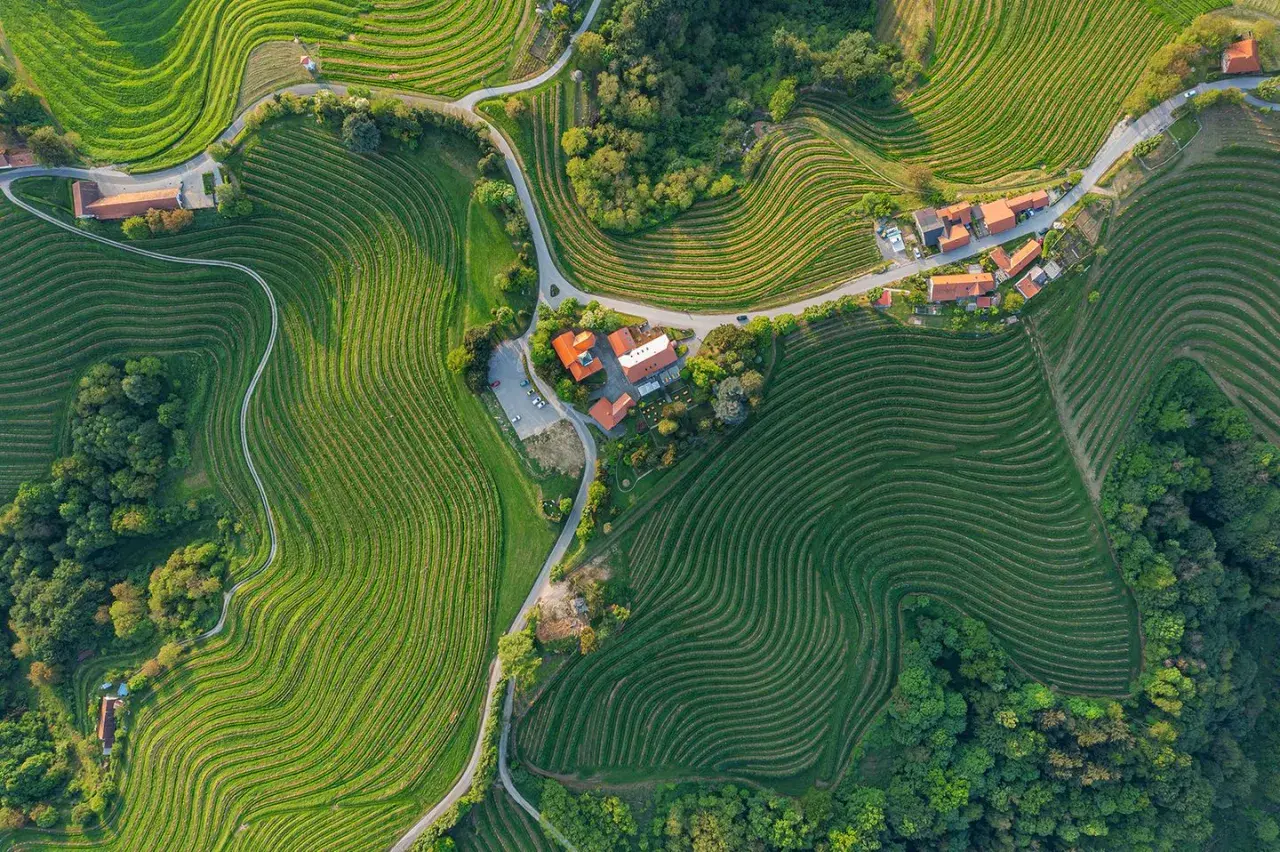 Sanfte Hügel mit terrassierten Weinbergen prägen diese malerische weinregion slowenien. Ein kleines Dorf schmiegt sich in die Landschaft.
