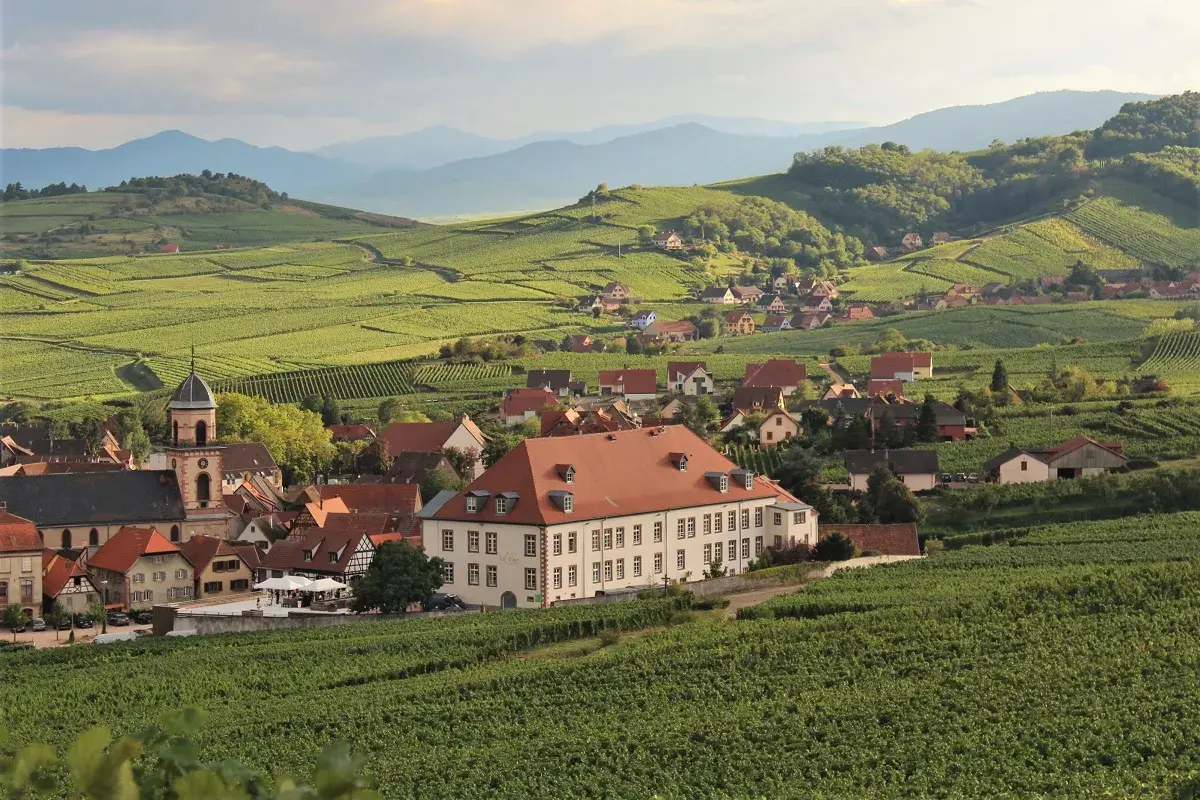 Idyllisches Dorf in Frankreich, umgeben von Weinbergen. Perfekt für eine Weinjahrgangstabelle Frankreich.