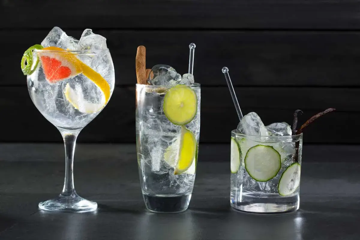 Drei erfrischende Gin Tonics mit Zitrone, Limette, Gurke und Gewürzen – so schmeckt Gin Tonic!