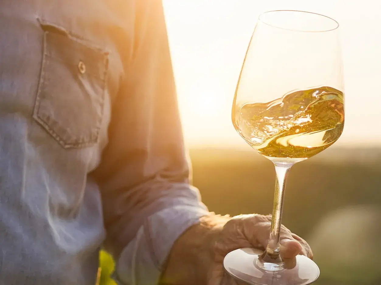 Ein Glas Weißwein, das im goldenen Licht der untergehenden Sonne schimmert. Die Hand, die es hält, gehört vielleicht Alvaro Palacios, einem Meister seines Fachs.
