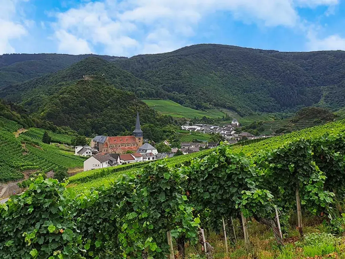 Grüne Weinberge im Ahrtal mit einem Dorf und einer Kirche im Tal. Ein Weingut, das die Schönheit der Region widerspiegelt.