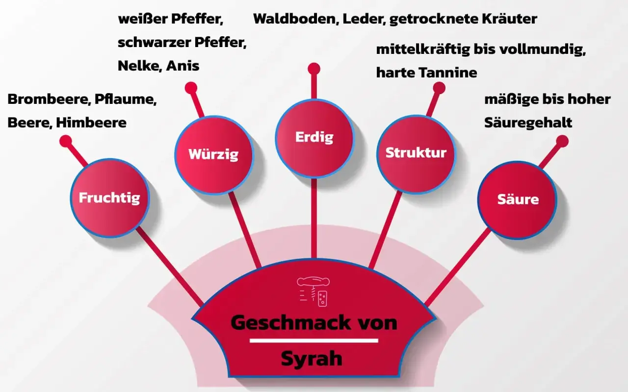 Geschmacksprofil der Syrah-Traube: Fruchtig, würzig, erdig, mit Struktur und Säure. Aromen von Beeren, Pfeffer, Leder.