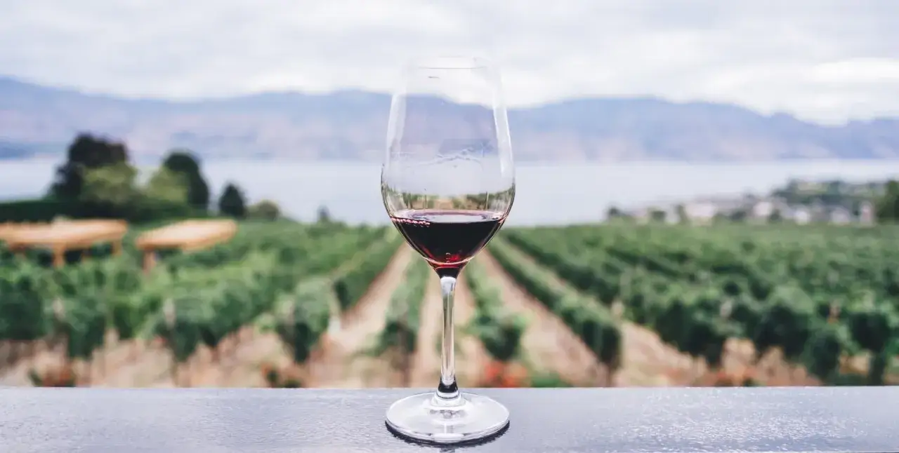 Ein Glas Rotwein vor einer malerischen Weinbergslandschaft. Das Weingut Ahrtal l&auml;dt zum Genuss ein.