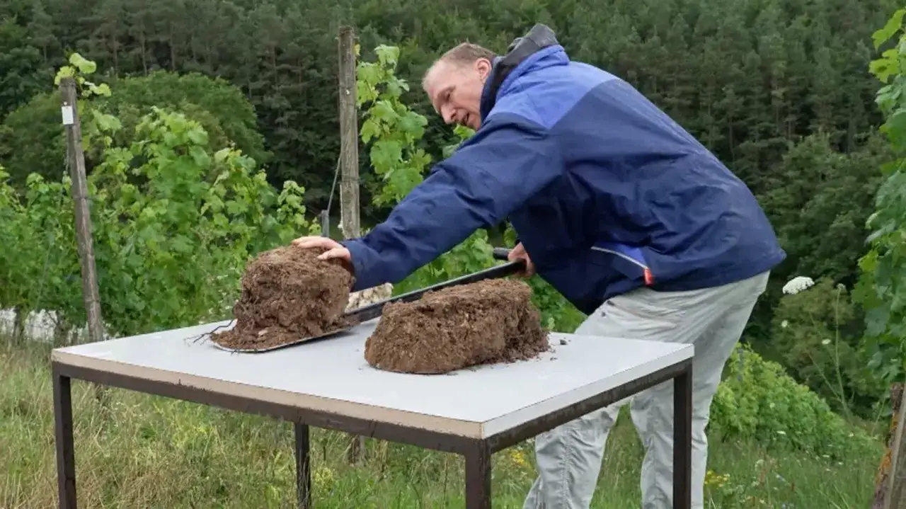 Mann präsentiert Erdproben für biodynamischen Wein. Gesunder Boden ist die Basis für exzellente Weine.