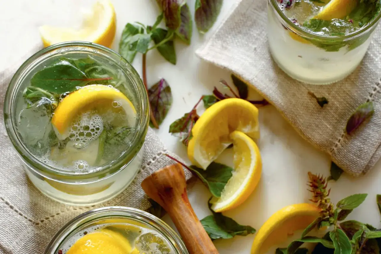 Erfrischendes Rezept mit Gin, Zitrone und Minze. Perfekt f&uuml;r hei&szlig;e Tage!