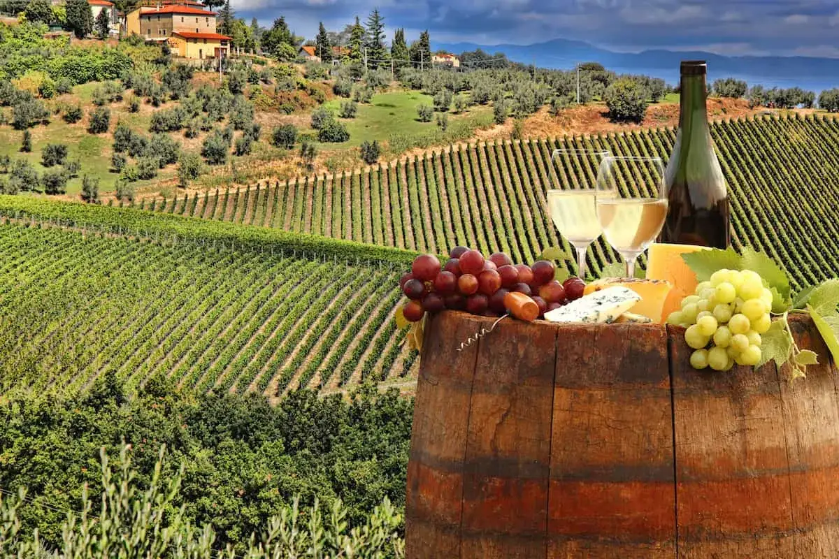 Weinprobe in Italien: Trauben, K&auml;se und Gl&auml;ser mit Wei&szlig;wein vor einer malerischen Weinbergslandschaft. Perfekt f&uuml;r die 10 besten italienischen Weine.