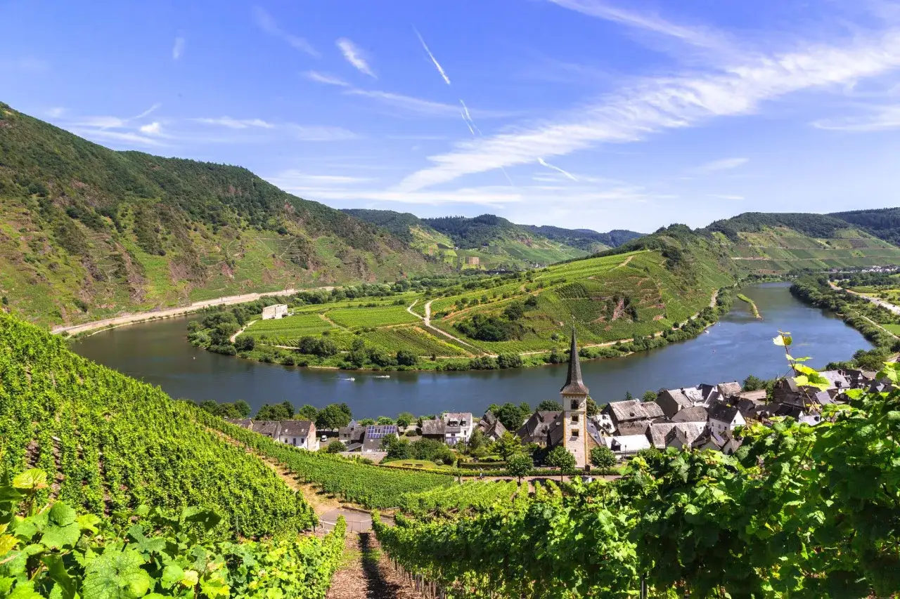 Sonnenbeschienene Weinberge am Flussufer, die auf den besten Rotwein Deutschlands hoffen lassen. Ein malerisches Dorf mit Kirchturm.