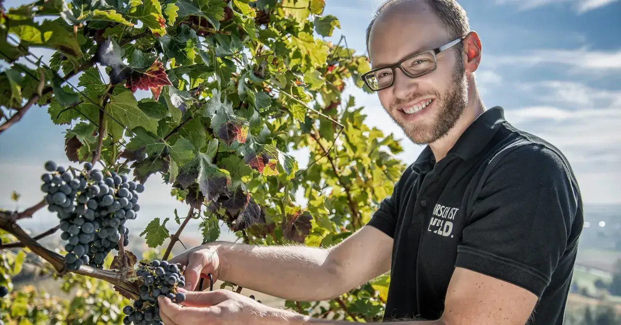 Ein Mann mit Brille lächelt in die Kamera, umgeben von Weinreben. Er arbeitet im Weingut Christian Hirsch und prüft die reifen Trauben.