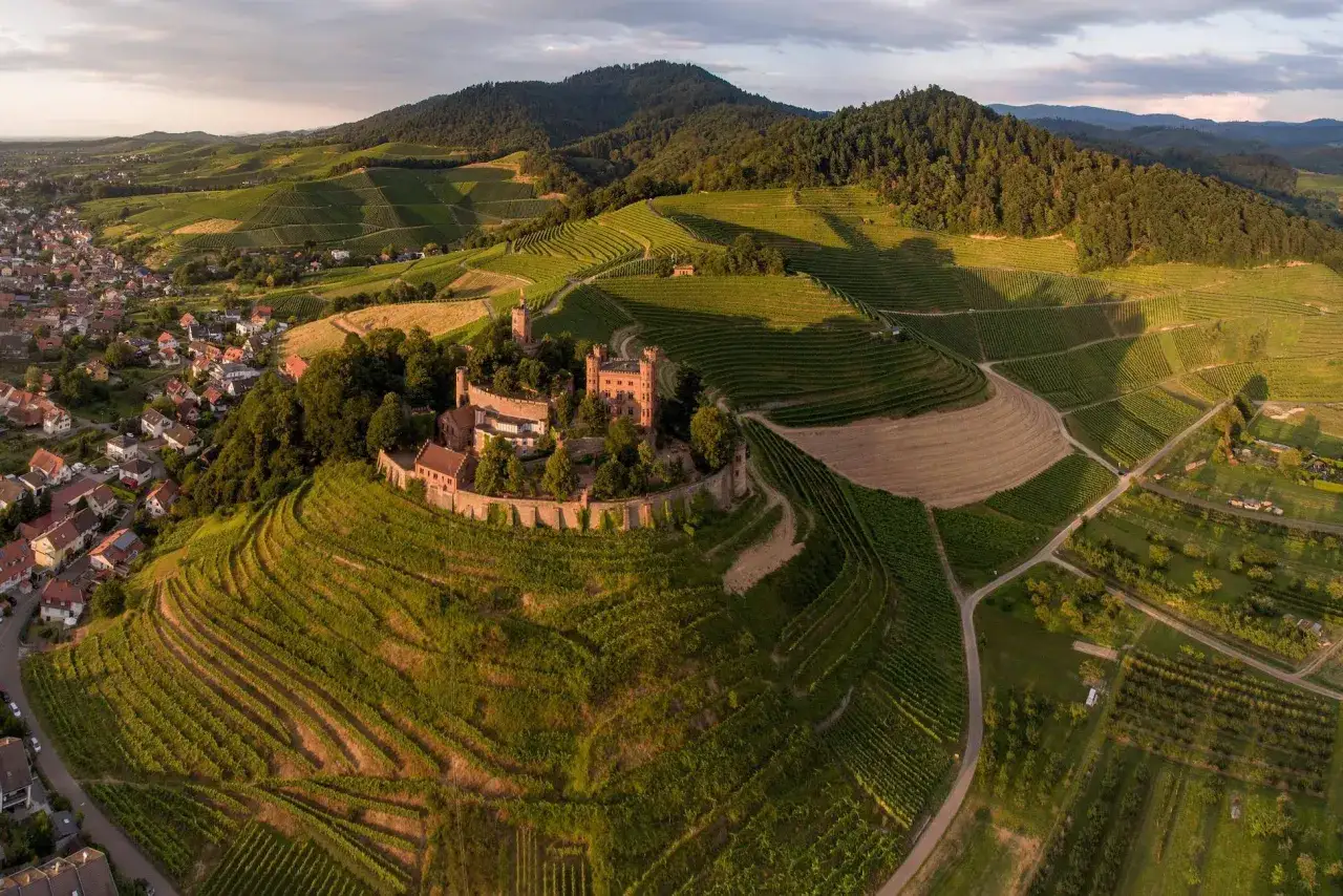 Eine malerische Weinreise durch Deutschland: Burg thront über terrassierten Weinbergen, ein Dorf schmiegt sich an den Hang.