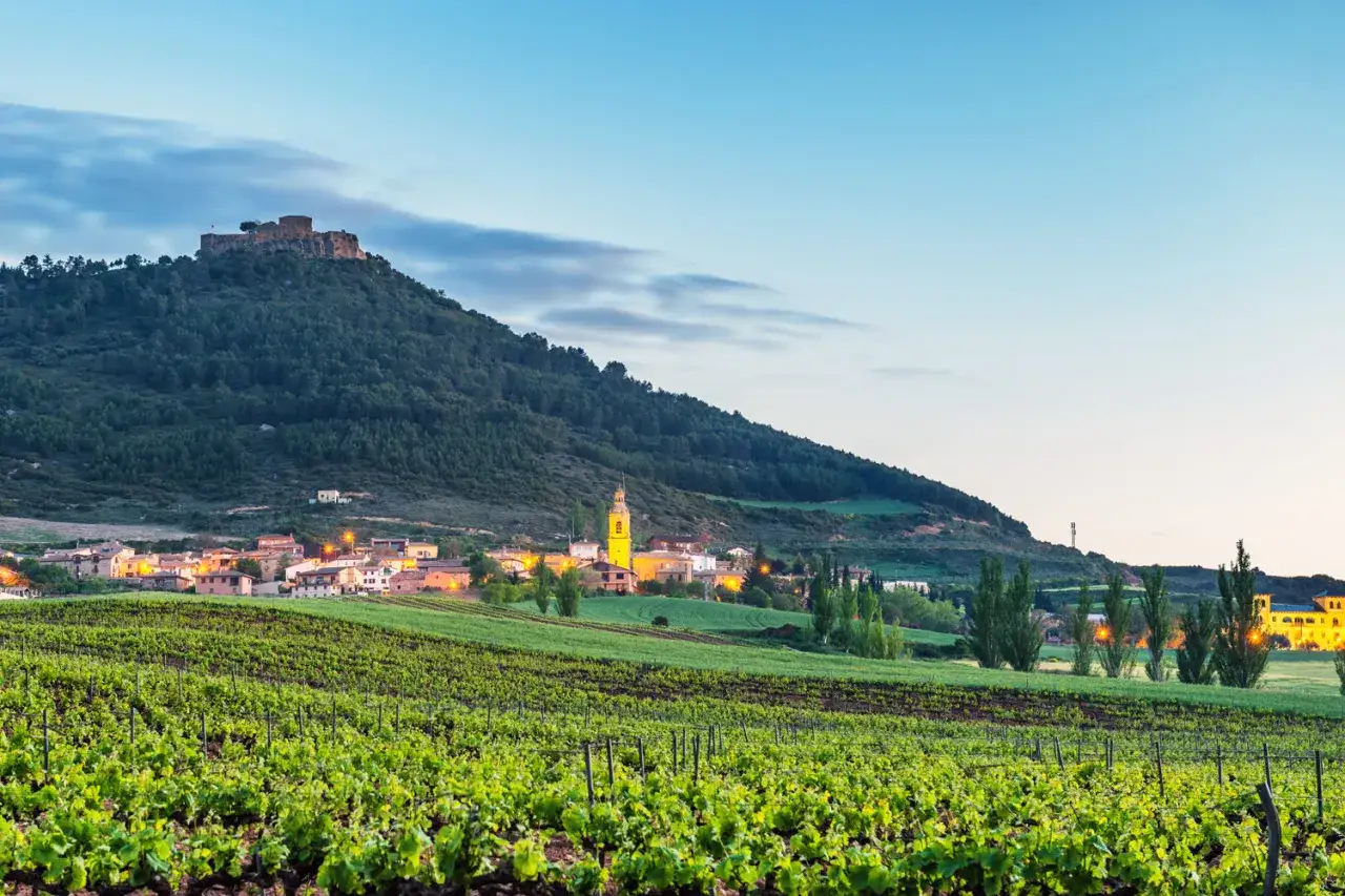 Weinberge vor einem Dorf mit Burgruine auf einem Hügel in Navarra, Spanien.