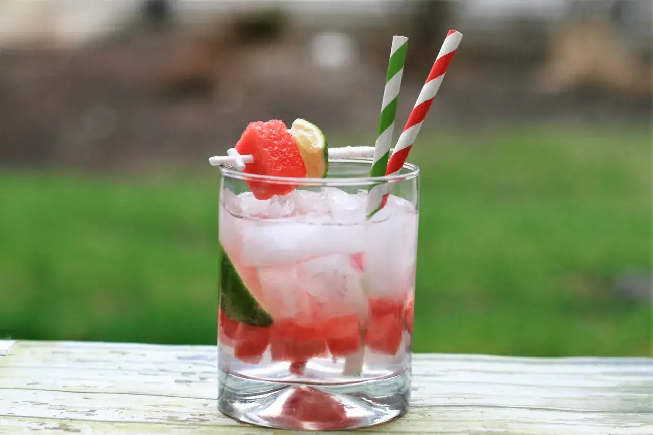 Erfrischender Gin Tonic mit Wassermelone und Limette, garniert mit einem St&uuml;ck Wassermelone und Limette. Zwei bunte Strohhalme stecken im Glas.