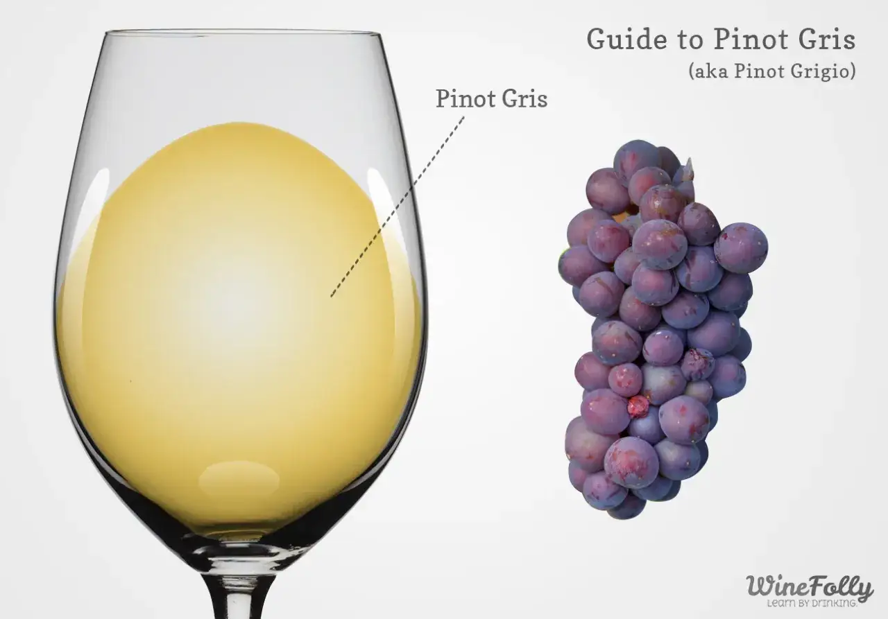 Ein Glas goldgelber Grauburgunder, daneben eine Traube Pinot Grigio. Italienischer Genuss.