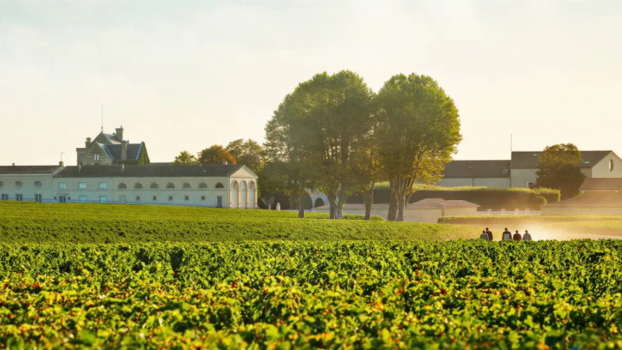 Sonnenuntergang &uuml;ber Weinbergen und dem Anwesen von Benjamin de Rothschild. Menschen spazieren durch die Felder.