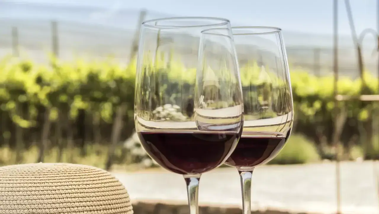 Zwei Gläser Rotwein, wahrscheinlich Pinot Noir, stehen vor einer Weinrebe. Ein Strohhut liegt daneben.