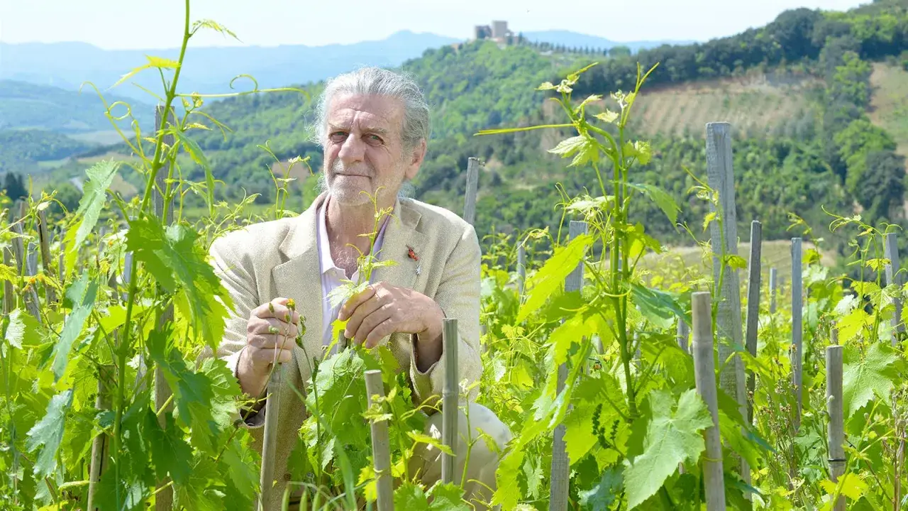 Ein Mann mit grauem Haar steht in einem Weinberg. Im Hintergrund ist eine Burg zu sehen. Podere Le Riipi, ein Ort der Schönheit.