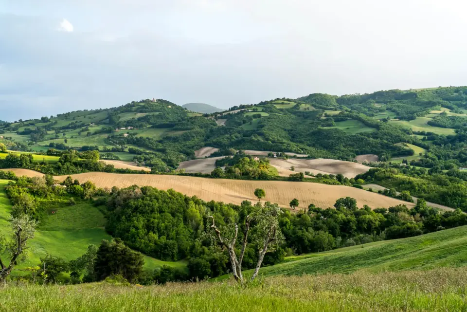 Weinregion Marken - Entdecke Italiens verborgene Schätze
